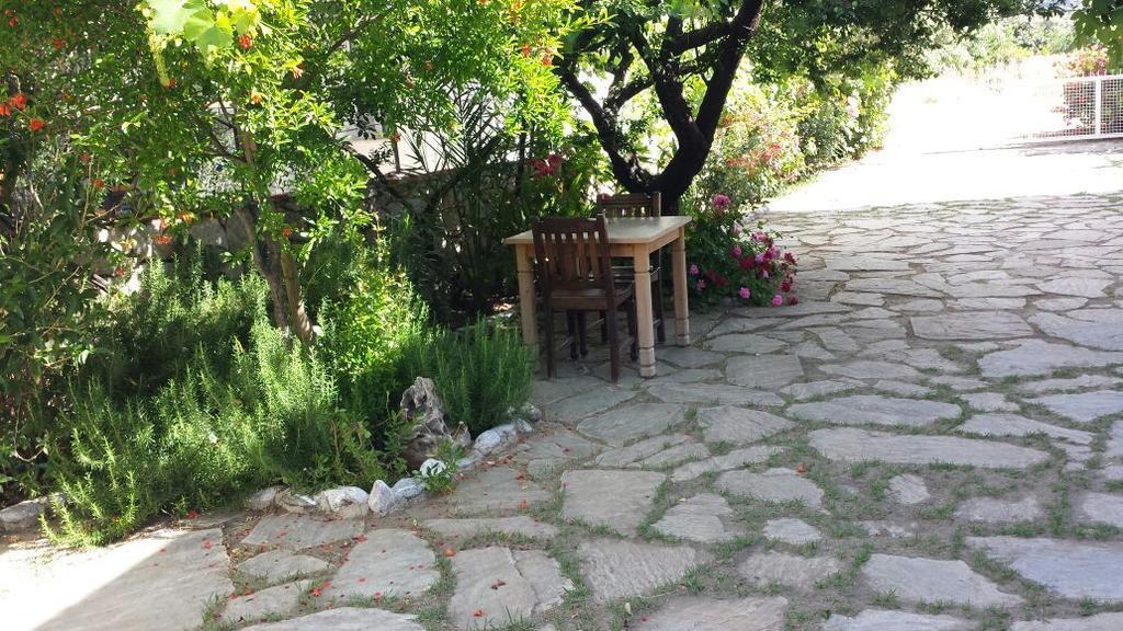 Hoppala Pension Датча Екстериор снимка